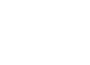 Alin Baskı